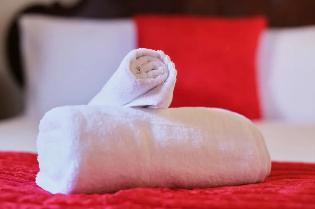 turismo-rural-santo-tirso-casa-do-criado-luxo